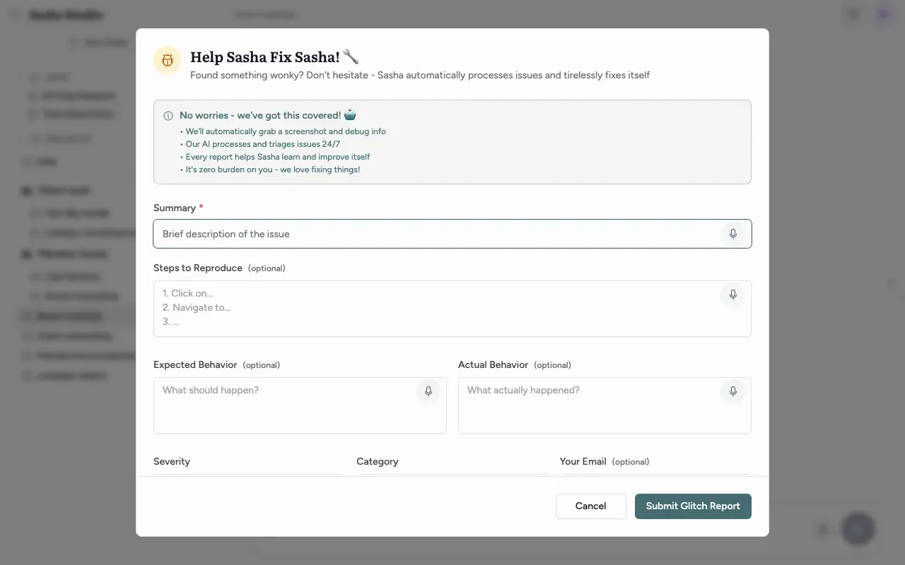 The Report Issue dialog from the account menu: Summary, steps, expected and actual behaviour, severity, category and email